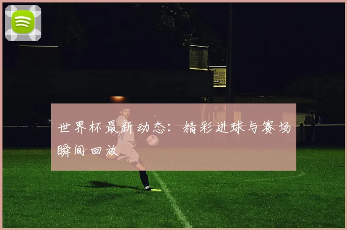 世界杯最新动态：精彩进球与赛场瞬间回放