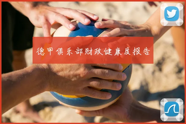 德甲俱乐部财政健康度报告