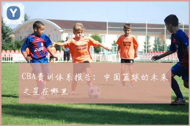 CBA青训体系报告:中国篮球的未来之星在哪里