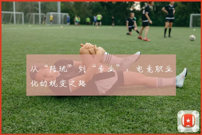 从“陪玩”到“专业”，电竞职业化的蜕变之路