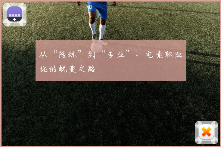 从“陪玩”到“专业”,电竞职业化的蜕变之路